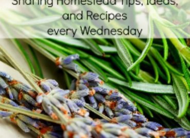 Homestead Blog Hop - Homestead tips, ideas, animal care, and recipes every Wednesday