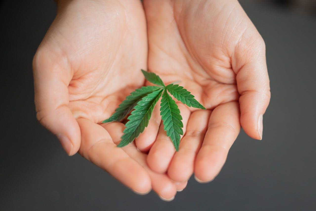 How Today’s Cannabis Products Fit Into Self-Care Rituals