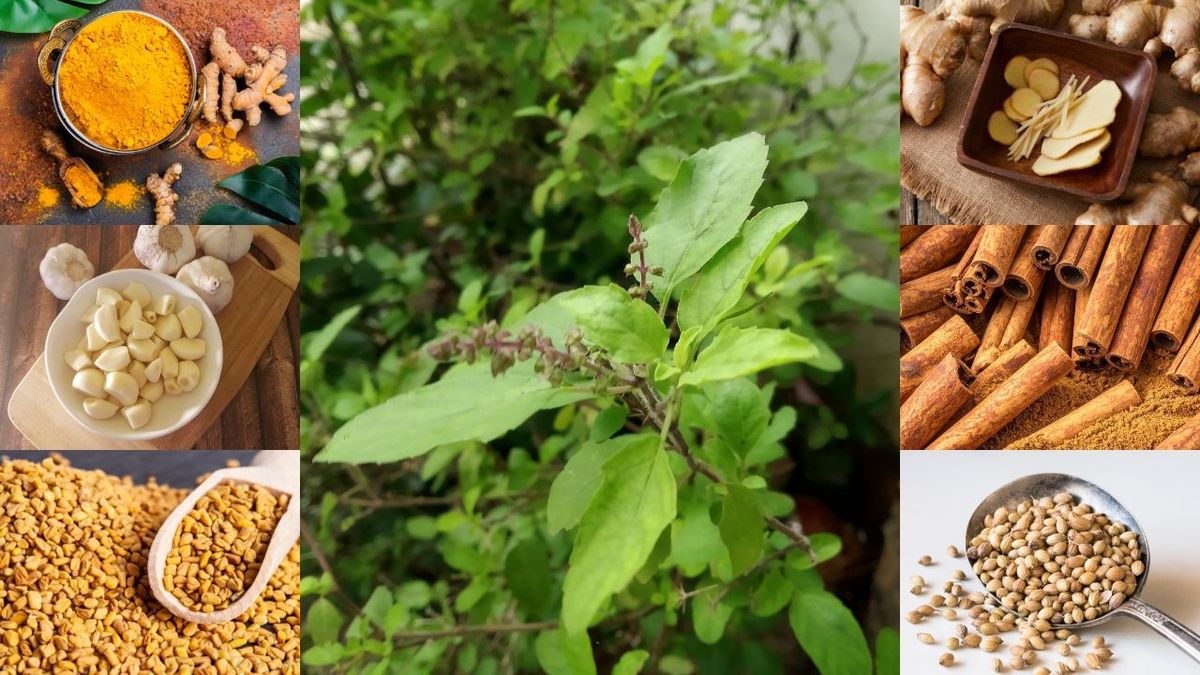 Indian kitchen remedies to lower uric acid and reduce inflammation