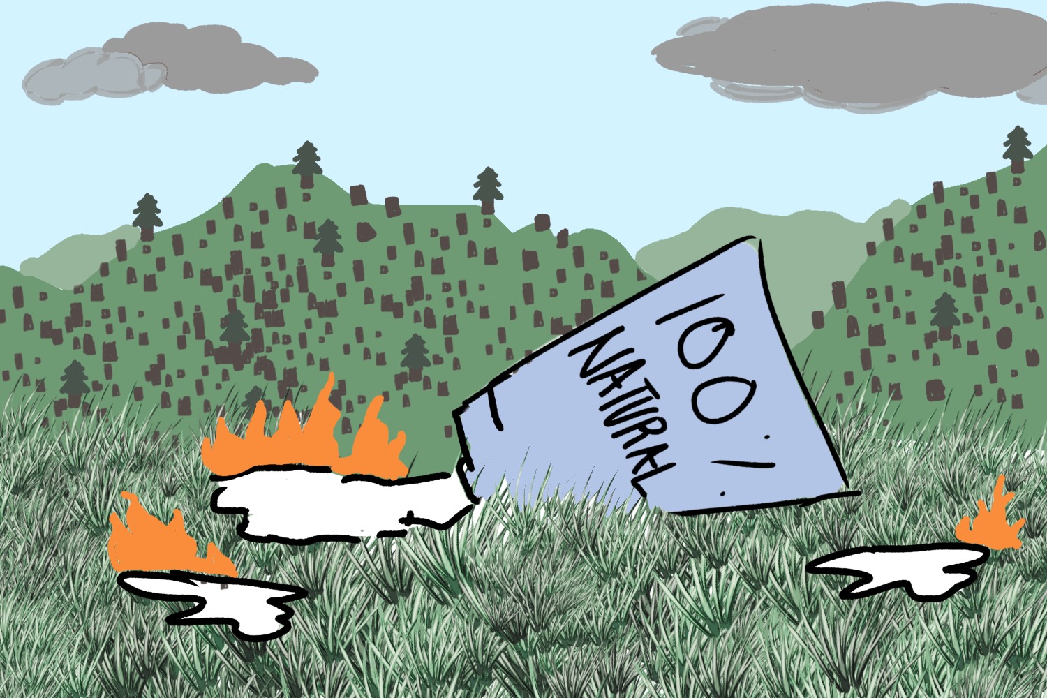 Most skincare brands are not 100% environmentally friendly – Scot Scoop News