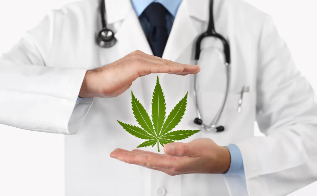 How Cannabis is Shaping Wellness Trends in 2026