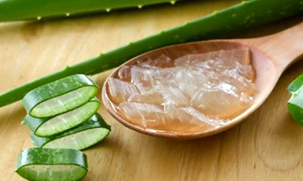 Nature’s secret to hydrated, radiant, and resilient skin