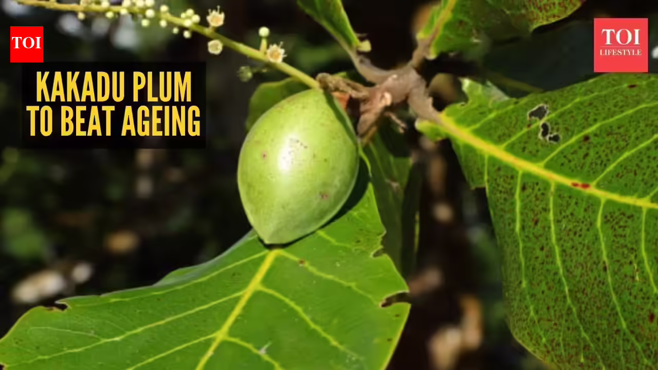 Kakadu Plum Skin Benefits: How to use Kakadu plum for its anti-ageing skin benefits