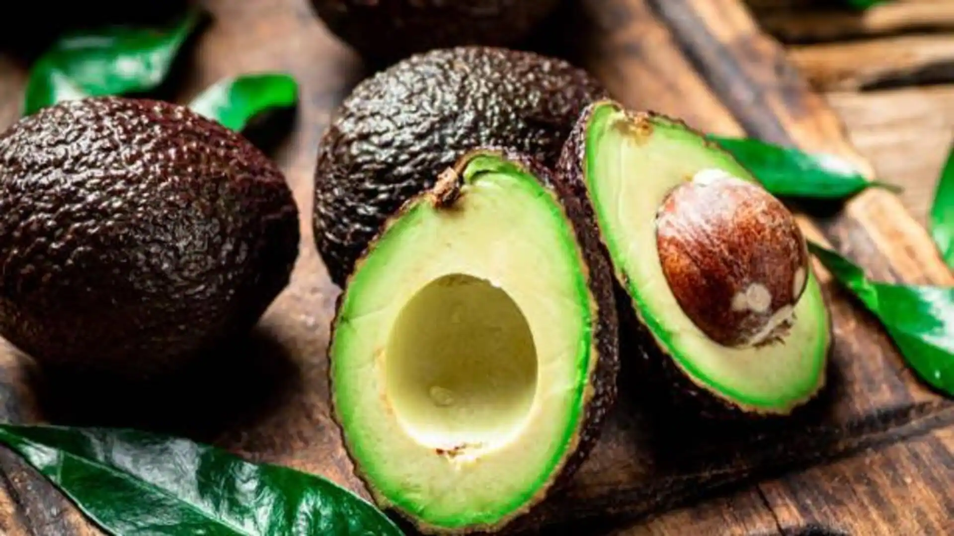 Secret to hydrated skin? It is avocado
