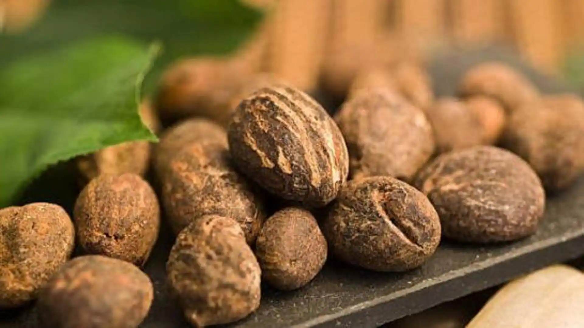 Shea nut shells: A natural exfoliant for glowing skin
