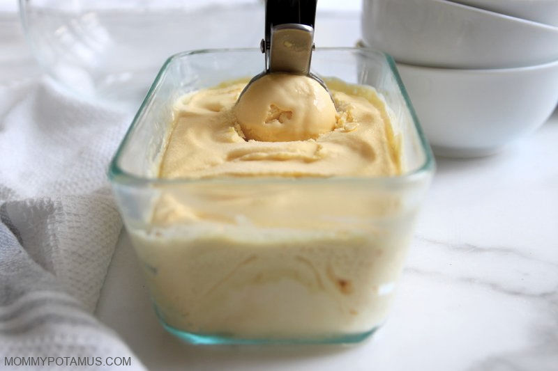 Cottage Cheese Ice Cream Recipe (High Protein)