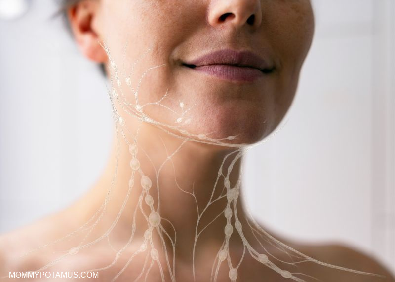 Hormones, Fluid Balance & Your Lymphatic System